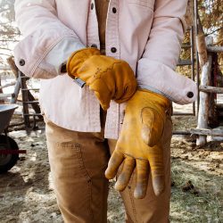 Leather Classics Gloves