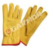 LuxePalm Leather Classics Gloves