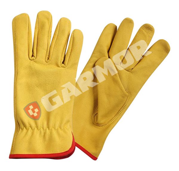 LuxePalm Leather Classics Gloves