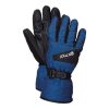 Minto Ski Gloves