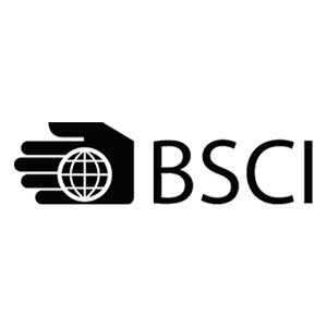 BSCI